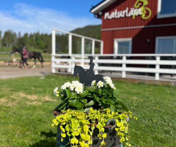 Bild på Naturlära Ridgymnasium