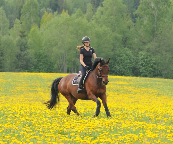 Bild på Naturlära Ridgymnasium