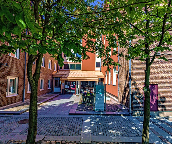 Center För Språkintroduktion