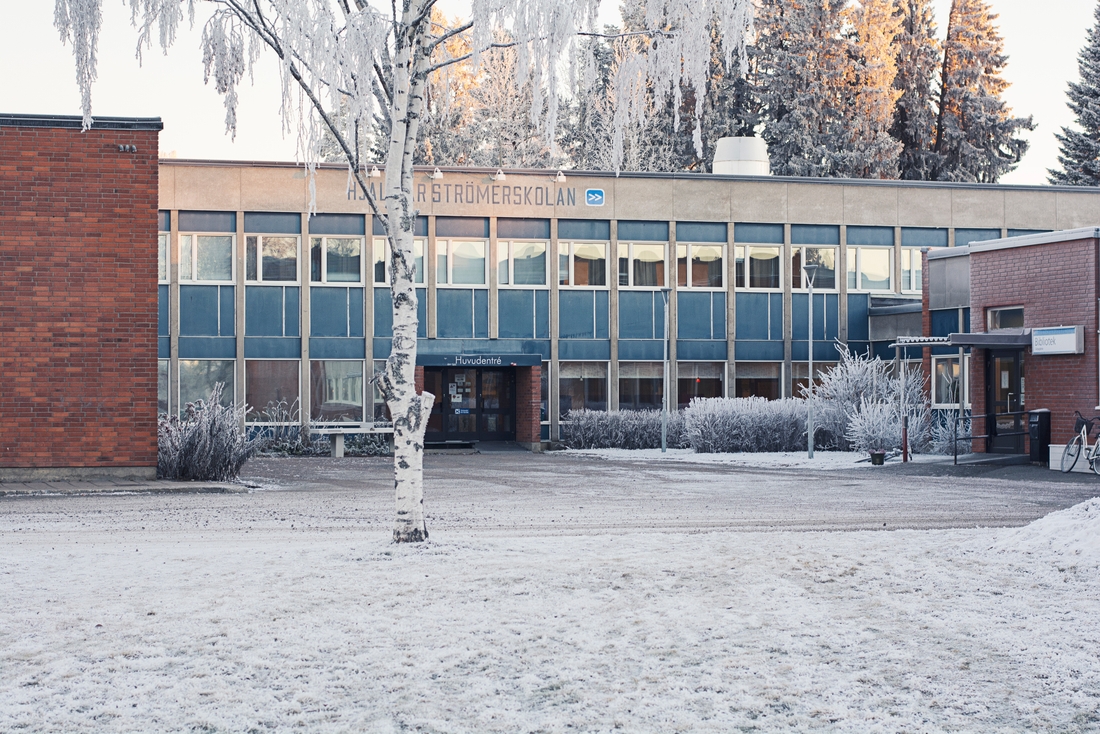 Bild på Hjalmar Strömerskolan