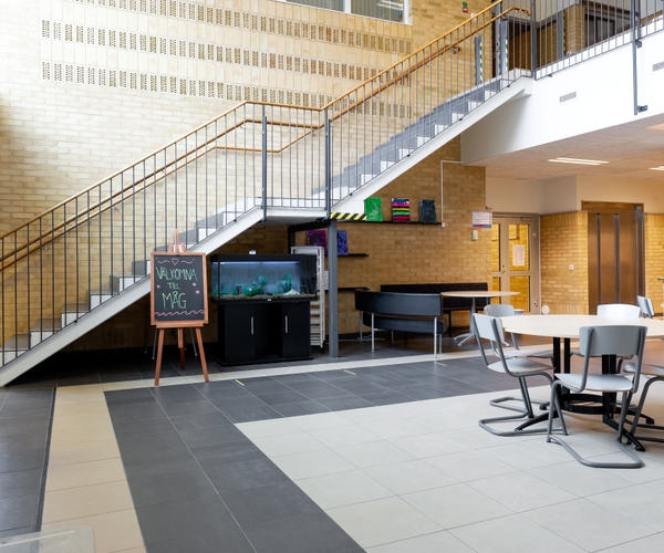 Bild på Magnus Åbergsgymnasiet