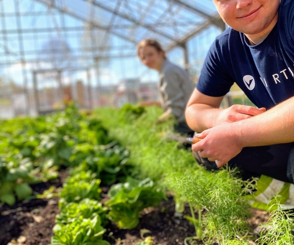 Bild på Järna Naturbruksgymnasium