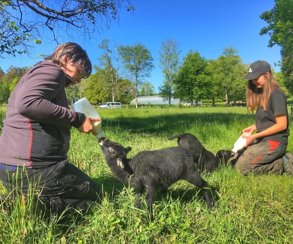 Bild på Järna Naturbruksgymnasium