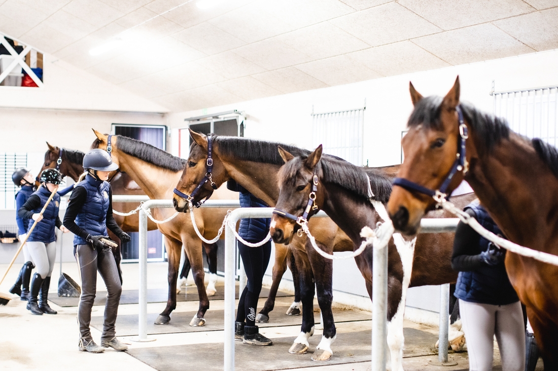 Bild på JENSEN gymnasium Haninge