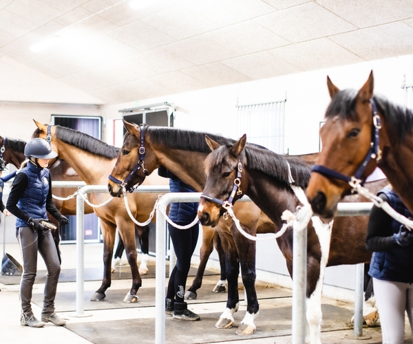JENSEN gymnasium Haninge