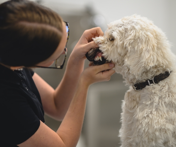 Bild på Realgymnasiet Linköping