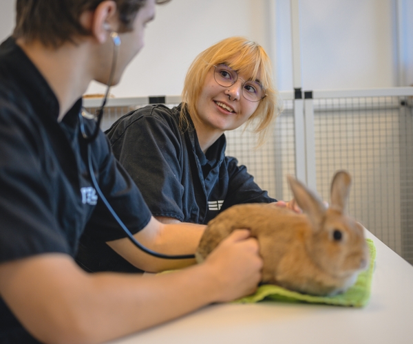 Bild på Realgymnasiet Sundbyberg