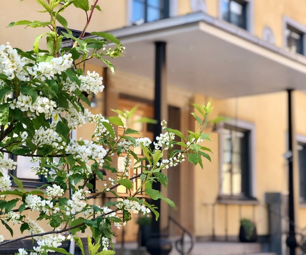 Bild på Realgymnasiet Luleå