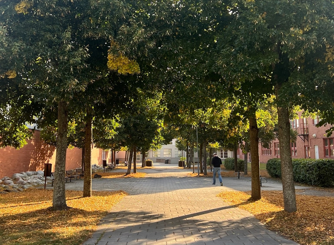 Bild på Tyresö gymnasium