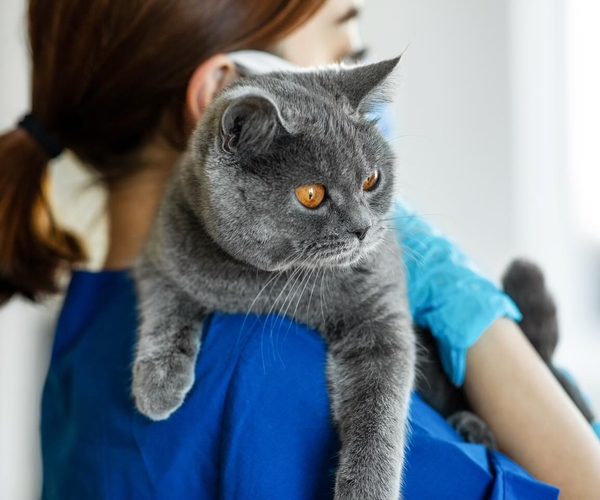 Bild på Realgymnasiet Halmstad