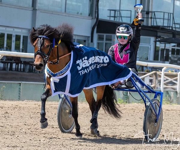 Bild på Realgymnasiet Halmstad