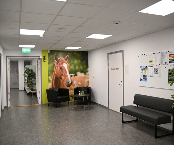 Bild på Realgymnasiet Trollhättan