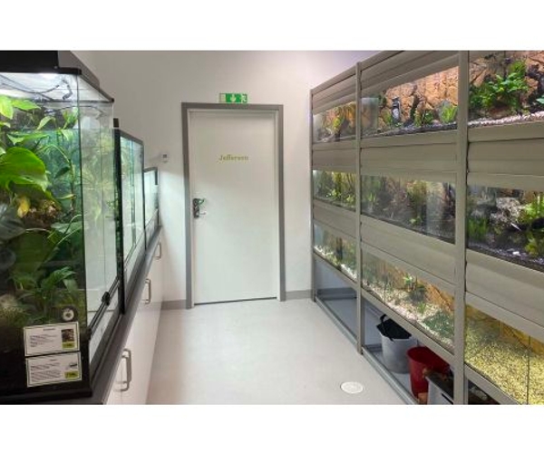 Bild på Realgymnasiet Sundsvall