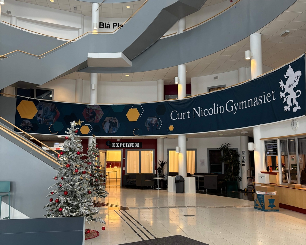 Bild på Curt Nicolin Gymnasiet