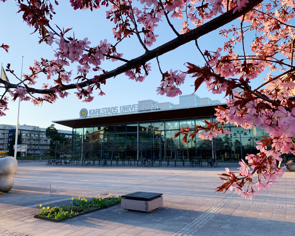 Bibliotekshuset Karlstads universitet