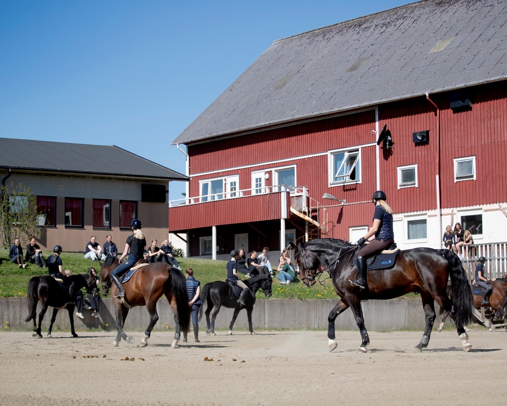Sveriges Ridgymnasium Kungsbacka