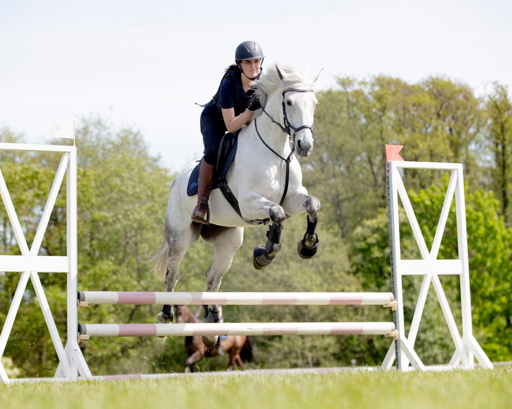 Bild på Sveriges Ridgymnasium Varberg
