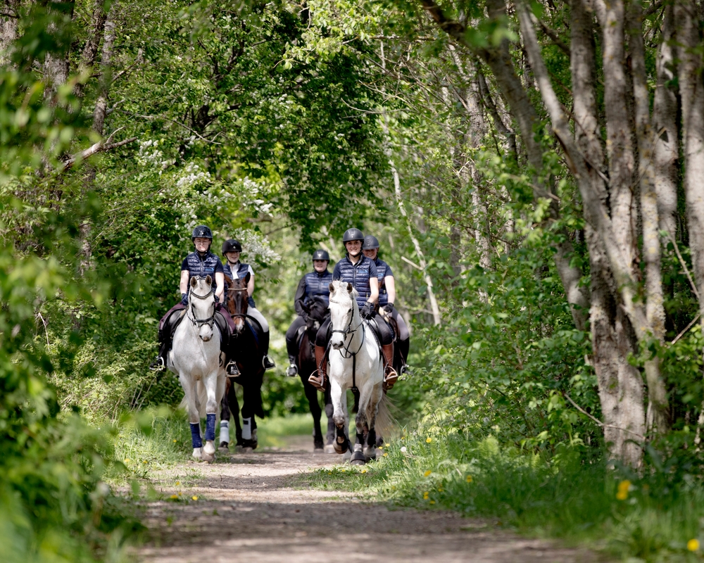 Bild på Sveriges Ridgymnasium Varberg
