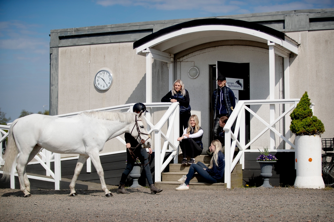 Bild på Sveriges Ridgymnasium Varberg