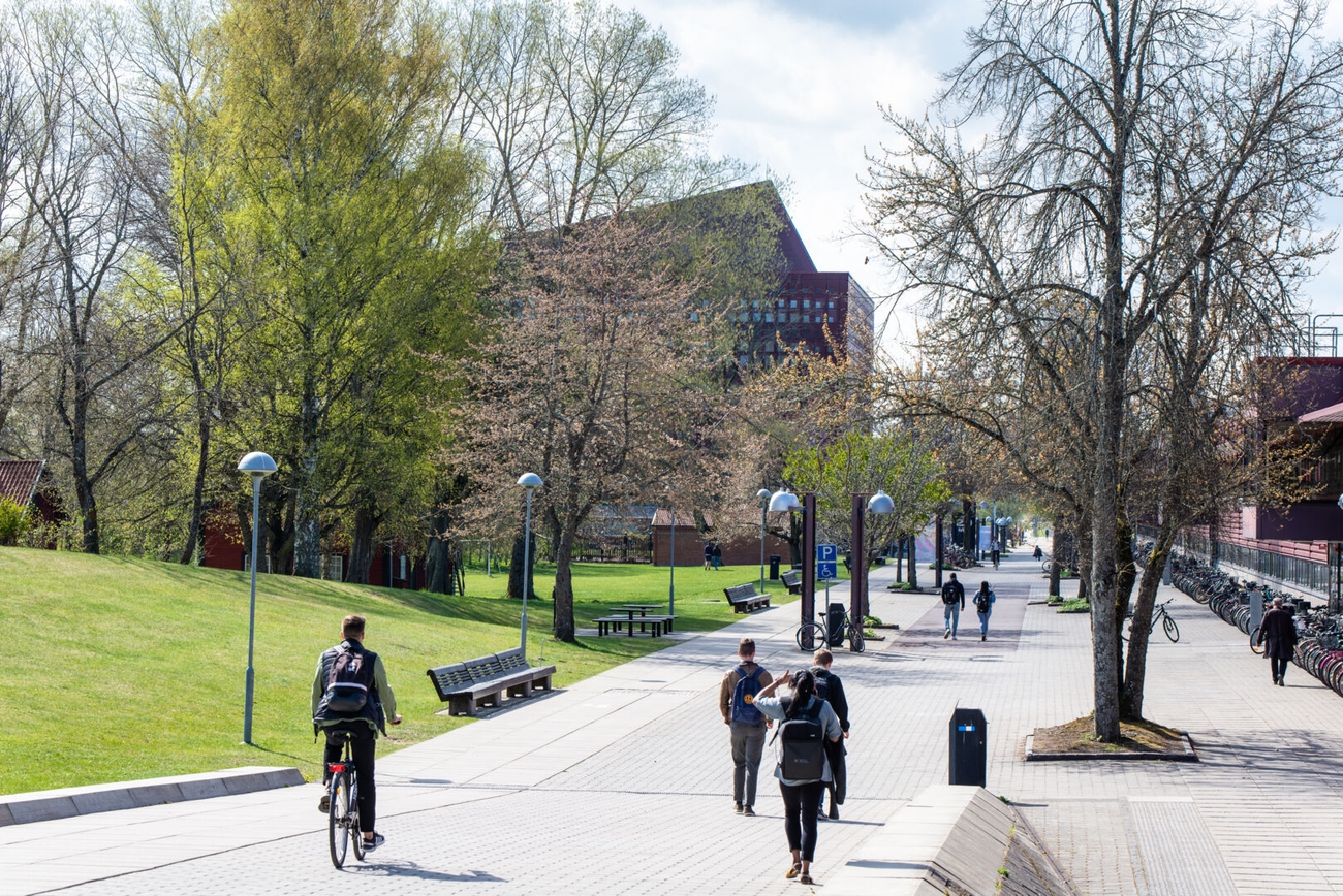 Linköpings universitet Antagningspoäng 2024