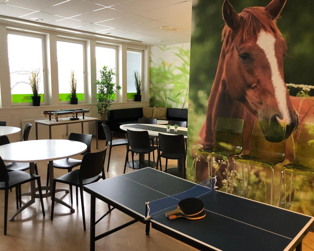 Bild på Realgymnasiet Nyköping