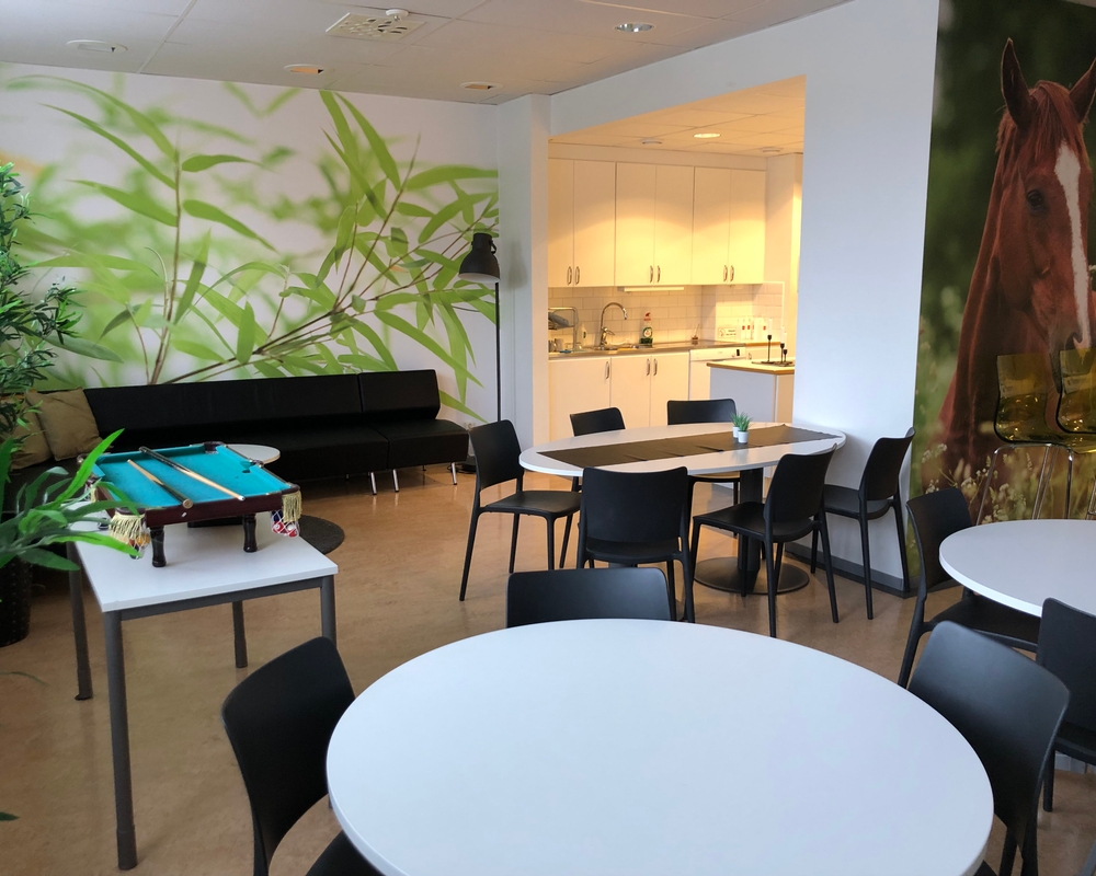 Bild på Realgymnasiet Nyköping