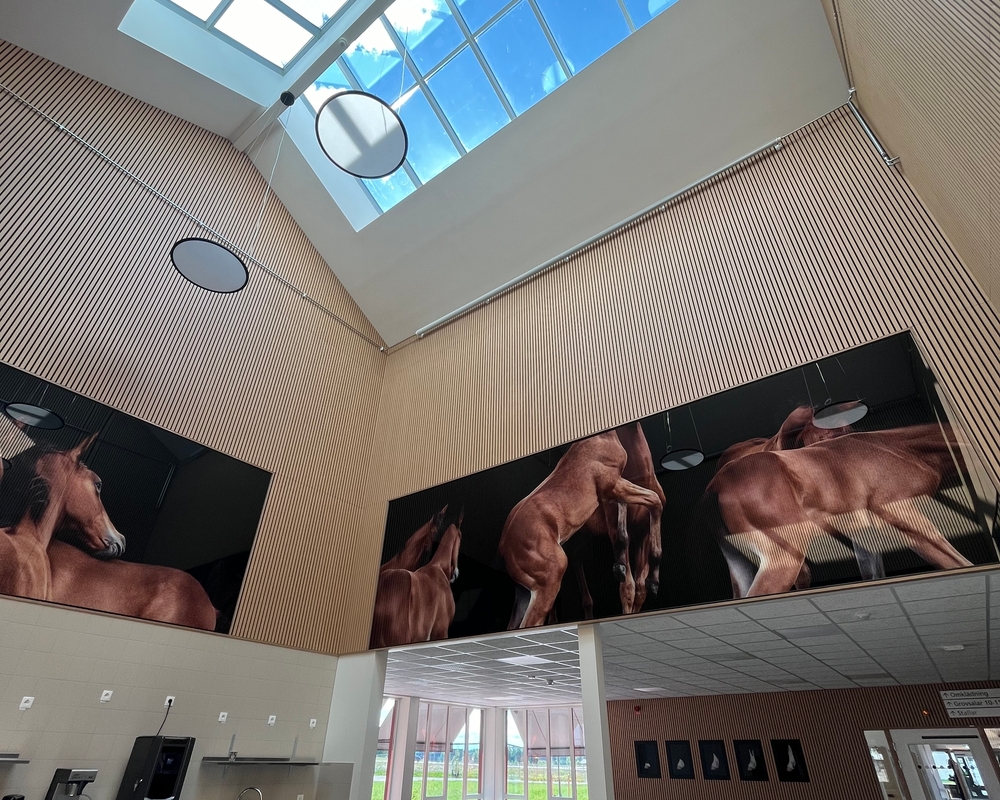 Bild på Axevalla Hästcentrum