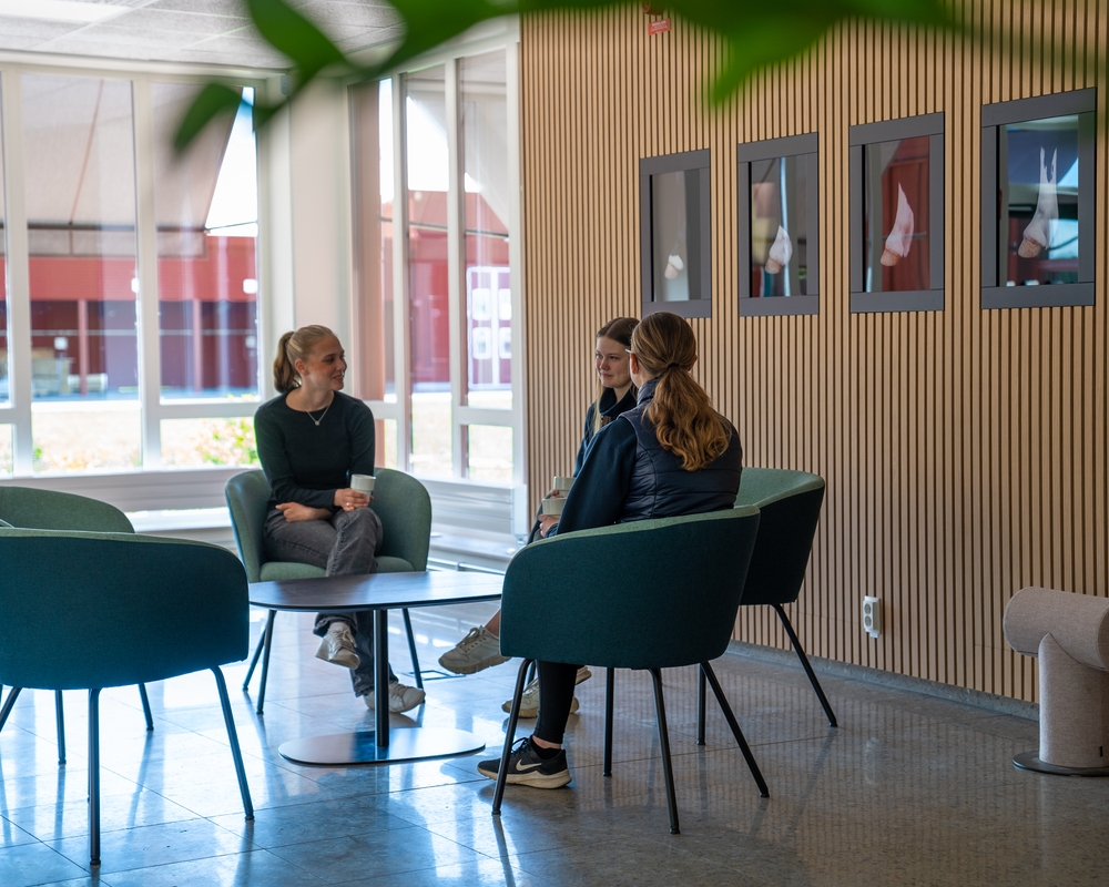 Bild på Axevalla Hästcentrum