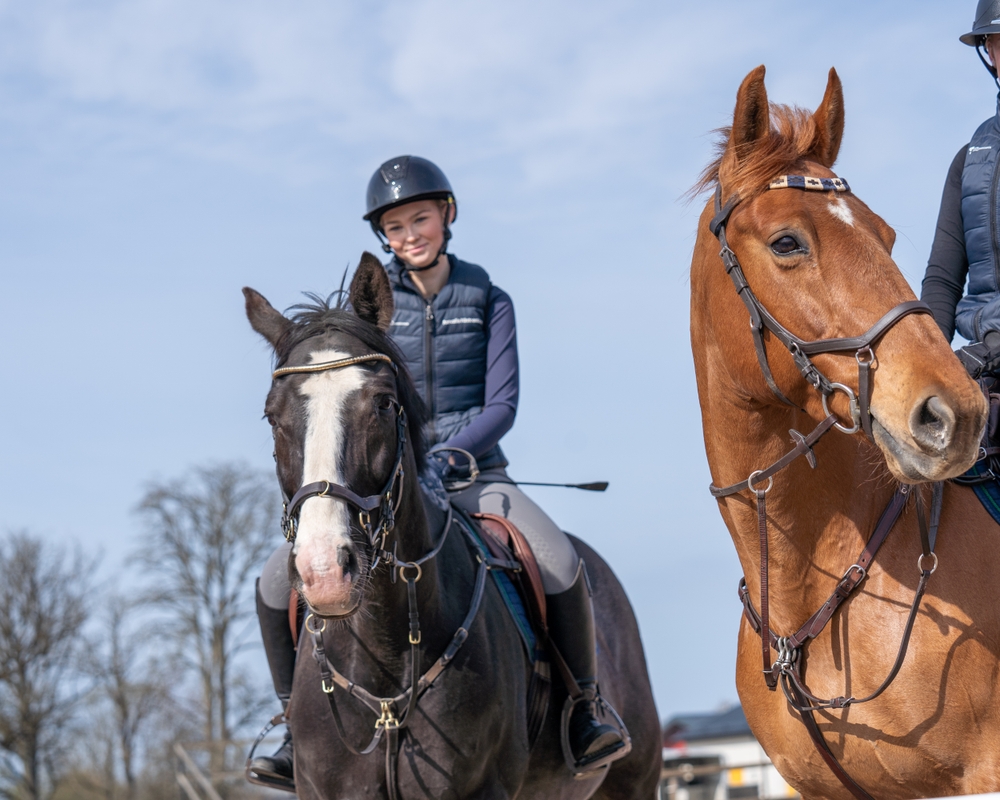 Bild på Axevalla Hästcentrum