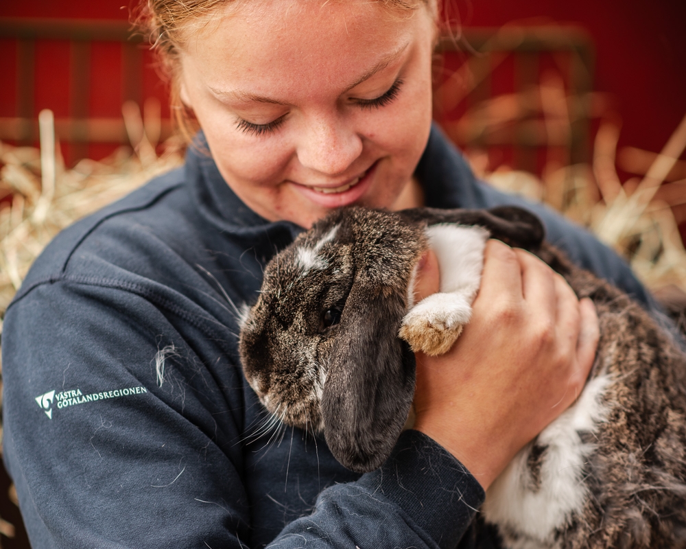 Bild på Naturbruksskolan Sötåsen