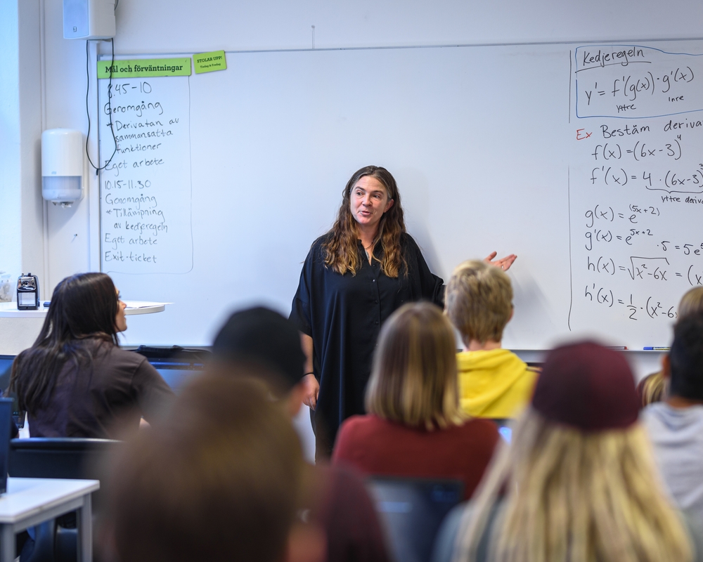 Bild på b7da5c00-79de-4373-a40a-74df9e0298ee