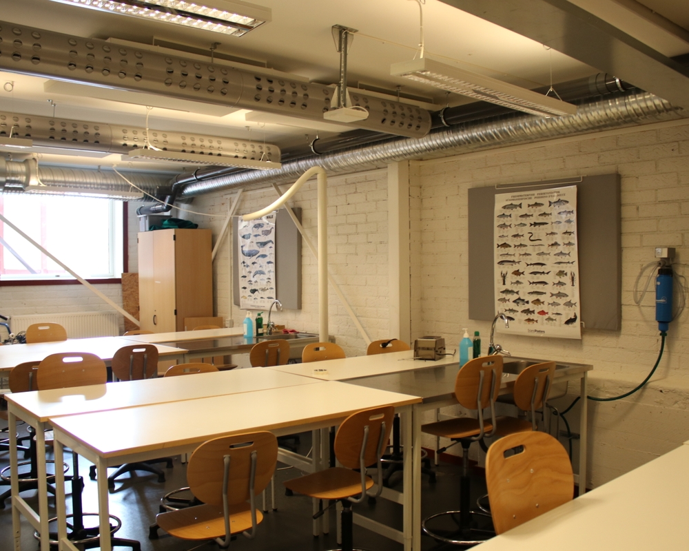 Bild på 68fd0431-4816-42f9-906a-bf808f6f08c7