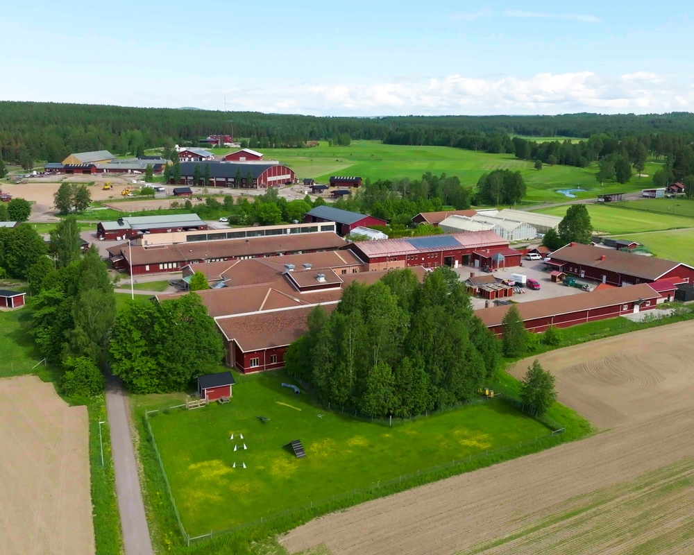 Bild på 0664851e-af75-473d-ba83-b158fdfd169a