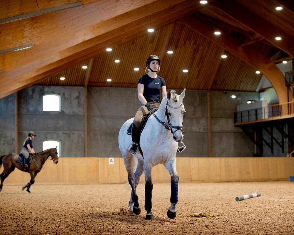 Bild på ce8b97e4-cc07-4008-a558-26bcf058d801