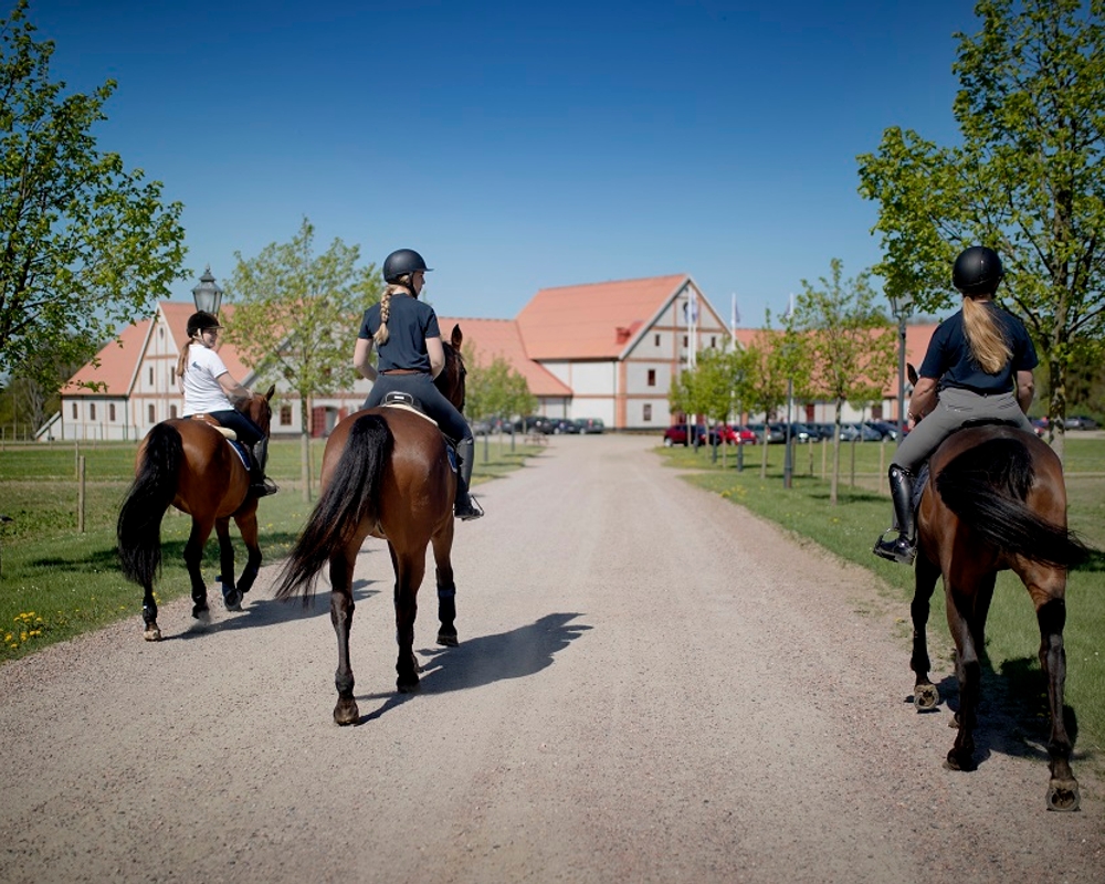 Bild på ce8b97e4-cc07-4008-a558-26bcf058d801