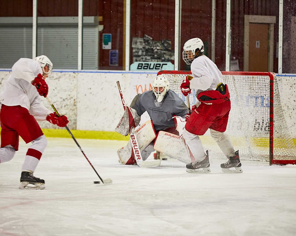 Bild på 20139-2225.jpg