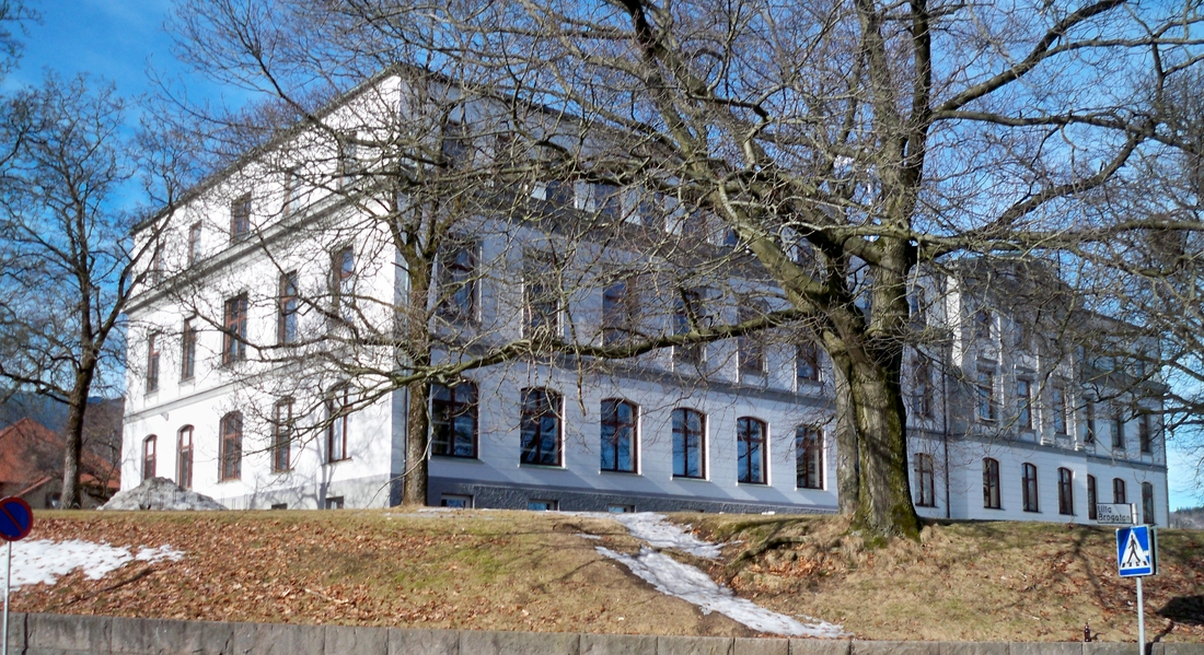 Sven Eriksonsgymnasiet i Borås