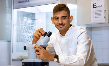 Kunskapsgymnasiet Stockholm i Stockholm