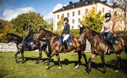 JENSEN gymnasium Wenngarn