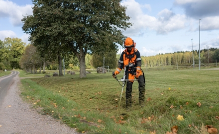 Bild på Olinsgymnasiet Sparresäter