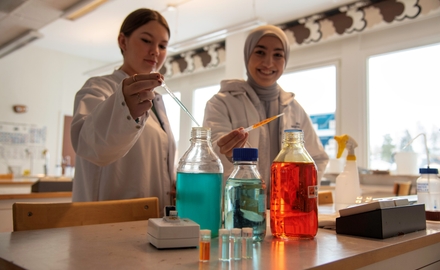 Bild på Brinellskolan