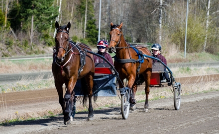 Bild på Lillerudsgymnasiet