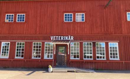 Bild på Lillerudsgymnasiet