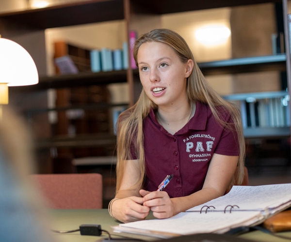 Bild på P A Fogelströms gymnasium