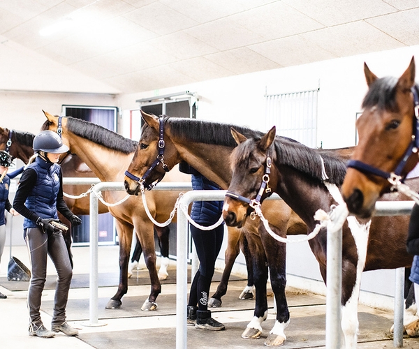 Bild på JENSEN gymnasium Wenngarn
