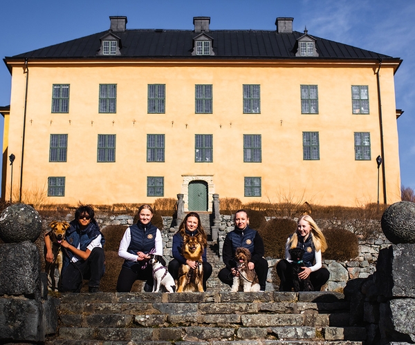 Bild på JENSEN gymnasium Wenngarn