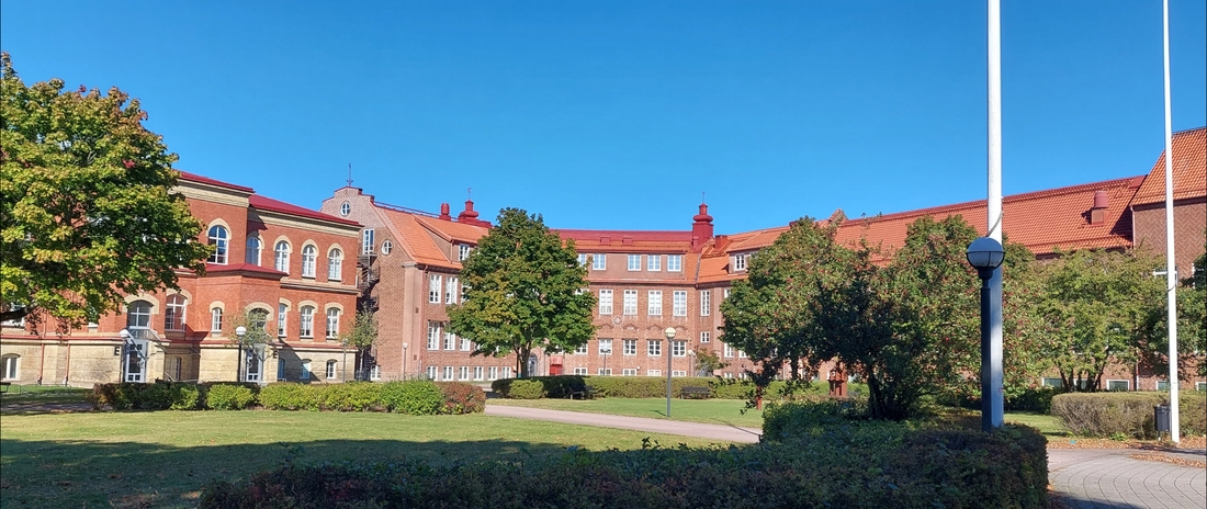 Bild på Sturegymnasiet