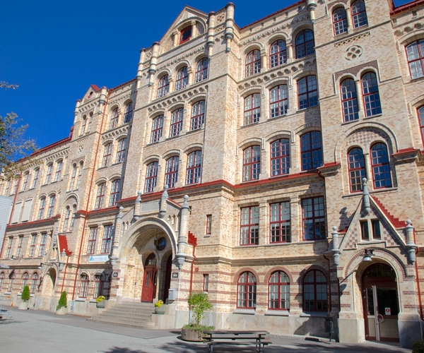 The International High School