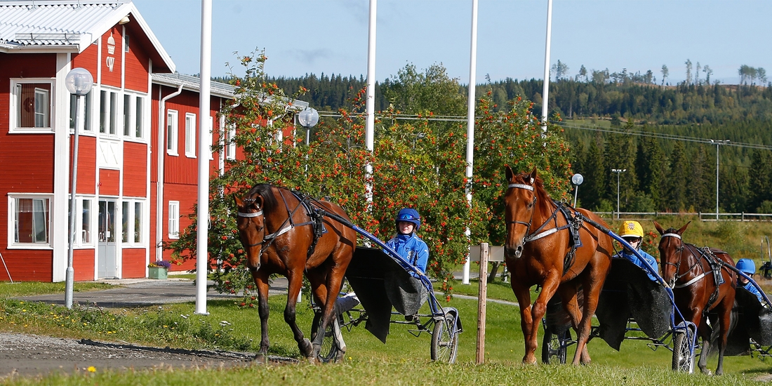 Bild på Jämtlands Gymnasium Wången