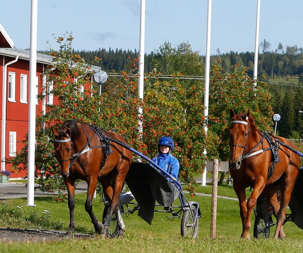 Jämtlands Gymnasium Wången